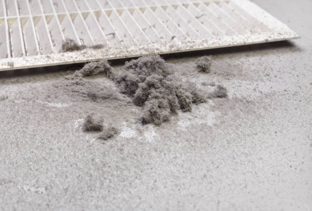 Best HVAC System Cleaning  in Nanakuli, HI