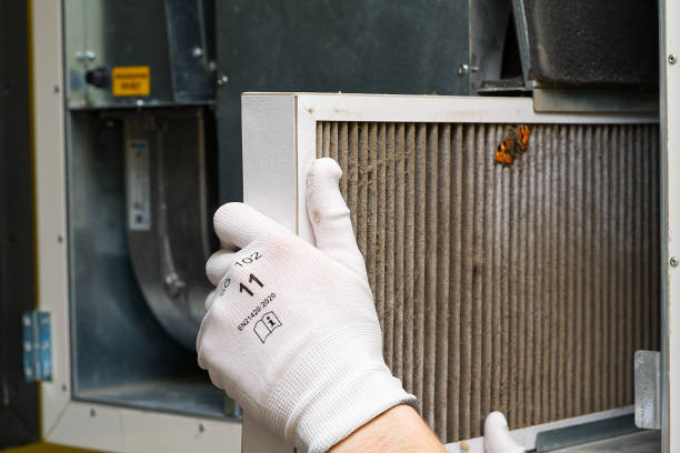 Best Air Duct Mold Removal  in Nanakuli, HI