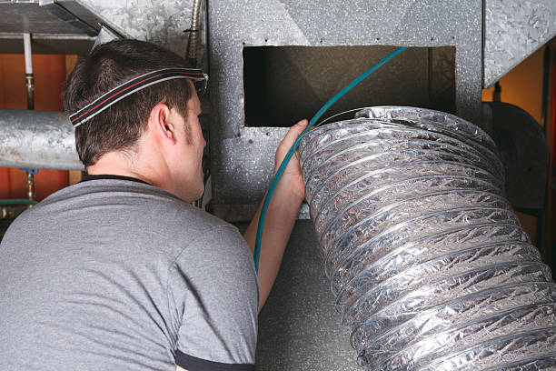 Best Air Duct Mold Removal  in Nanakuli, HI