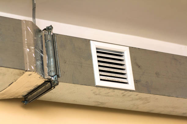Air Duct Mold Removal in HI